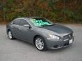 Ocean Gray - Maxima 3.5 SV Photo No. 1