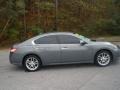 Ocean Gray - Maxima 3.5 SV Photo No. 2