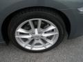 Ocean Gray - Maxima 3.5 SV Photo No. 15