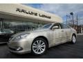 Satin Cashmere Metallic - ES 350 Photo No. 1