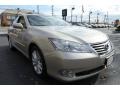 Satin Cashmere Metallic - ES 350 Photo No. 7