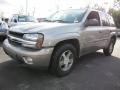 Light Pewter Metallic - TrailBlazer LS Photo No. 1