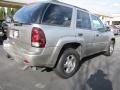 Light Pewter Metallic - TrailBlazer LS Photo No. 3