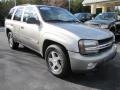 Light Pewter Metallic - TrailBlazer LS Photo No. 4