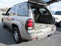Light Pewter Metallic - TrailBlazer LS Photo No. 9