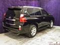 Black Onyx - GX 460 Photo No. 25