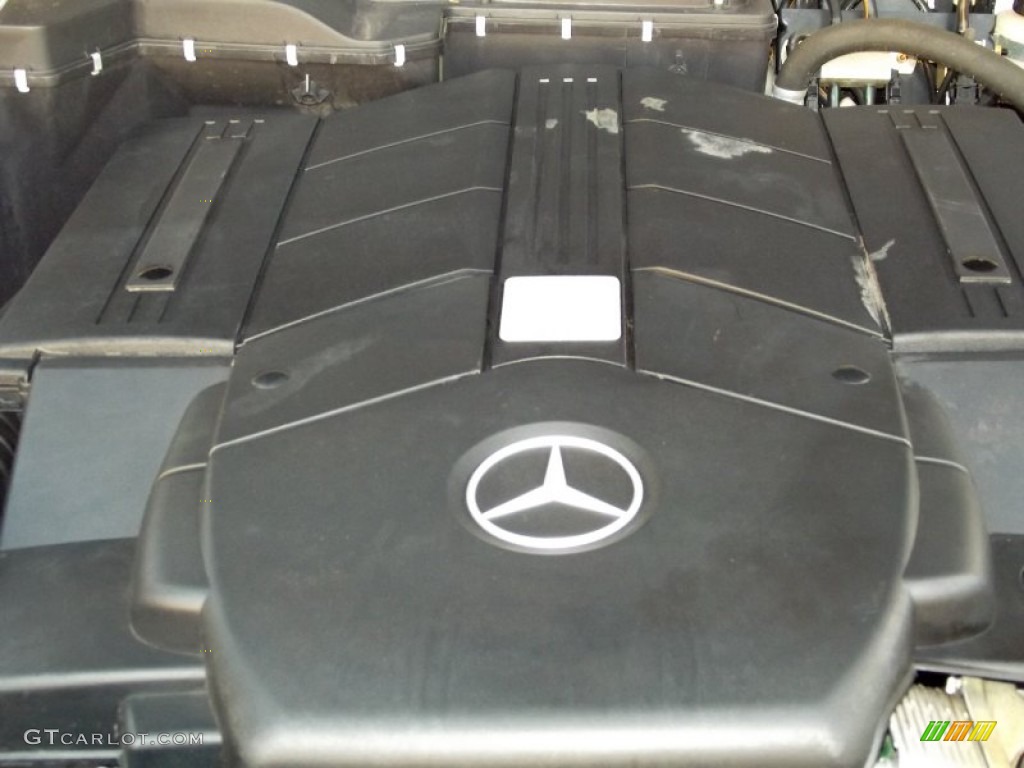 2008 Mercedes-Benz G 500 5.0 Liter SOHC 24-Valve V8 Engine Photo #56806128