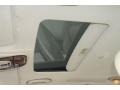 Platinum Silver Metallic - XJ Vanden Plas Photo No. 32
