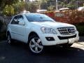 Arctic White - ML 350 4Matic Photo No. 1
