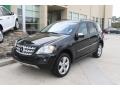 Black - ML 350 4Matic Photo No. 10