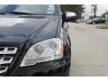 Black - ML 350 4Matic Photo No. 11