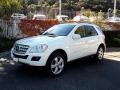 Arctic White - ML 350 4Matic Photo No. 7