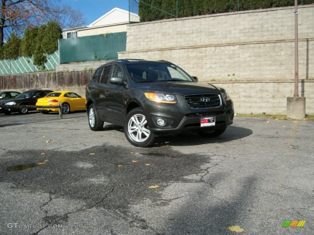 2010 Santa Fe Limited 4WD - Black Forest Green Metallic / Cocoa Black photo #1