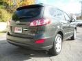 2010 Black Forest Green Metallic Hyundai Santa Fe Limited 4WD  photo #7