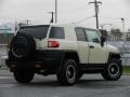 2010 Sandstorm Toyota FJ Cruiser 4WD  photo #4