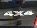 2010 Brilliant Black Crystal Pearl Dodge Ram 1500 Big Horn Crew Cab 4x4  photo #19