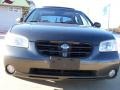 2001 Gray Lustre Metallic Nissan Maxima SE  photo #3