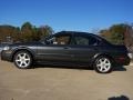 2001 Gray Lustre Metallic Nissan Maxima SE  photo #8