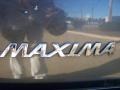 Gray Lustre Metallic - Maxima SE Photo No. 35