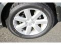 2009 Seacrest Green Metallic Subaru Outback 2.5i Special Edition Wagon  photo #16