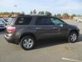 Medium Brown Metallic - Acadia SLE Photo No. 4