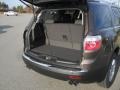 Medium Brown Metallic - Acadia SLE Photo No. 15