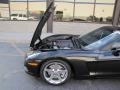 2008 Chevrolet Corvette Coupe Wheel and Tire Photo