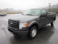 Sterling Grey Metallic - F150 XL Regular Cab Photo No. 3