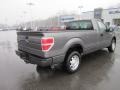 Sterling Grey Metallic - F150 XL Regular Cab Photo No. 7