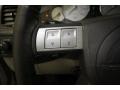 Silver Steel Metallic - 300 C HEMI Photo No. 31