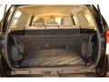 Sand Beige Leather Trunk Photo for 2011 Toyota 4Runner #56842118