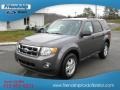 2012 Sterling Gray Metallic Ford Escape XLT 4WD  photo #2