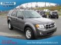 Sterling Gray Metallic - Escape XLT 4WD Photo No. 4