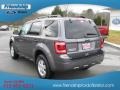 2012 Sterling Gray Metallic Ford Escape XLT 4WD  photo #8