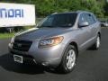 Steel Gray - Santa Fe SE 4WD Photo No. 1