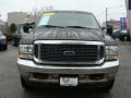 2002 Black Ford Excursion Limited 4x4  photo #8