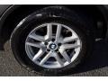 Sterling Grey Metallic - X5 3.0i Photo No. 29