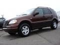 2001 Bourbon Metallic Mercedes-Benz ML 320 4Matic  photo #2