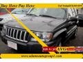 Graphite Metallic - Grand Cherokee Laredo 4x4 Photo No. 1