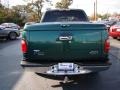 2001 Amazon Green Metallic Ford F150 Lariat SuperCrew  photo #7