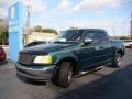 2001 Amazon Green Metallic Ford F150 Lariat SuperCrew  photo #31