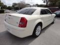 Cool Vanilla White - 300 Touring Photo No. 8