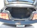 2008 Black Ford Mustang V6 Premium Coupe  photo #11