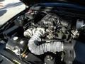 2008 Black Ford Mustang V6 Premium Coupe  photo #15