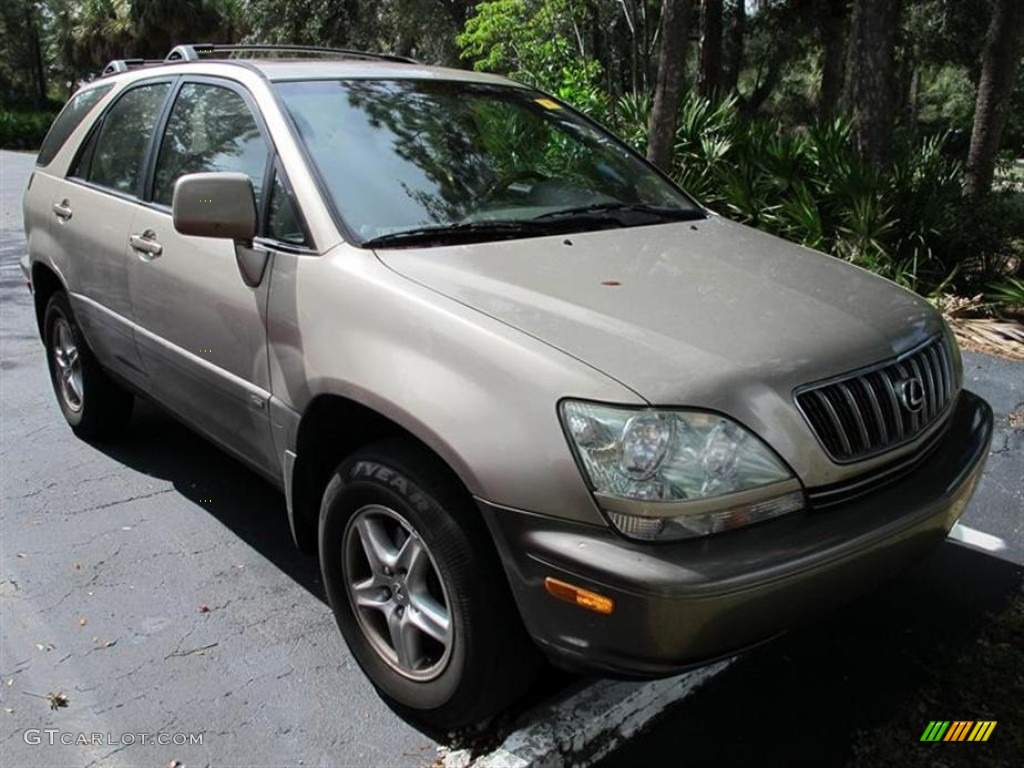 2002 RX 300 - Burnished Gold Metallic / Ivory photo #1