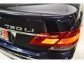 2008 Monaco Blue Metallic BMW 7 Series 750Li Sedan  photo #8