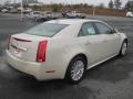 Vanilla Latte Metallic - CTS 3.0 Sedan Photo No. 4