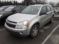 2006 Galaxy Silver Metallic Chevrolet Equinox LS AWD  photo #3