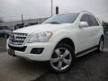 Arctic White - ML 350 4Matic Photo No. 1