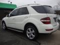 Arctic White - ML 350 4Matic Photo No. 3